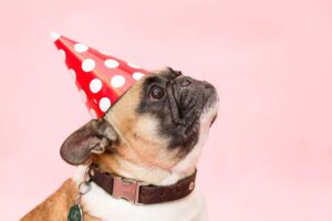 It&rsquo;s My Party, I Can Cry If I Want To