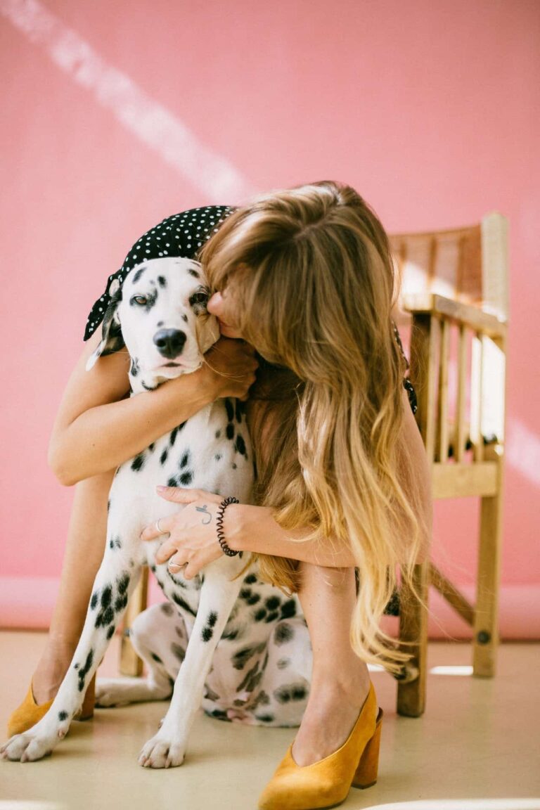 Guide: How I Travel With My Pup