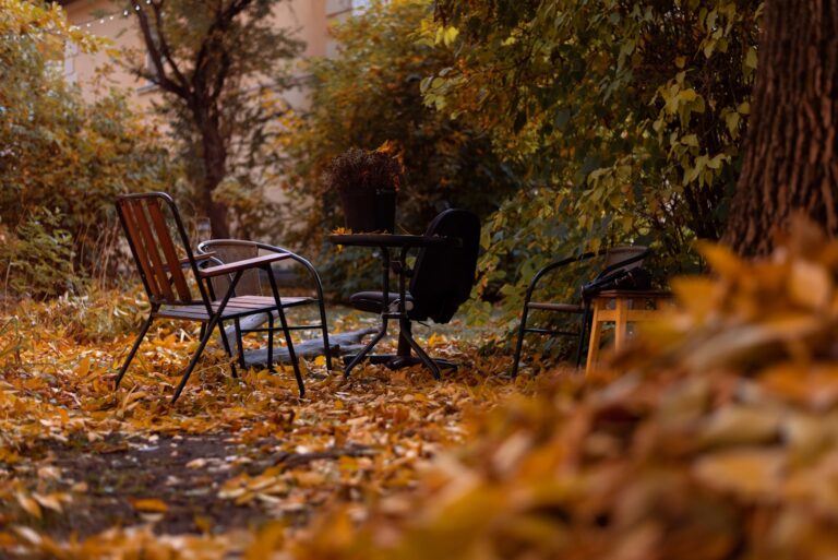 Nature&rsquo;s Masterpiece: Finding Artistic Inspiration in Your Own Backyard