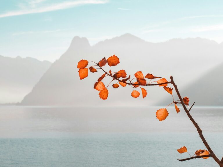 Nature&rsquo;s Canvas: Finding Artistic Inspiration in Autumn&rsquo;s Changing Colors
