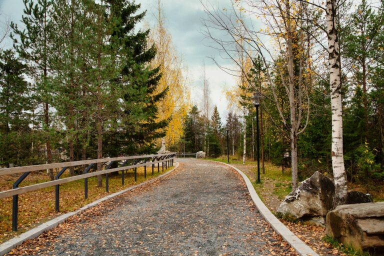 Embracing the &ldquo;Quiet Season&rdquo;: Simple Ways to Find Creative Calm This Fall