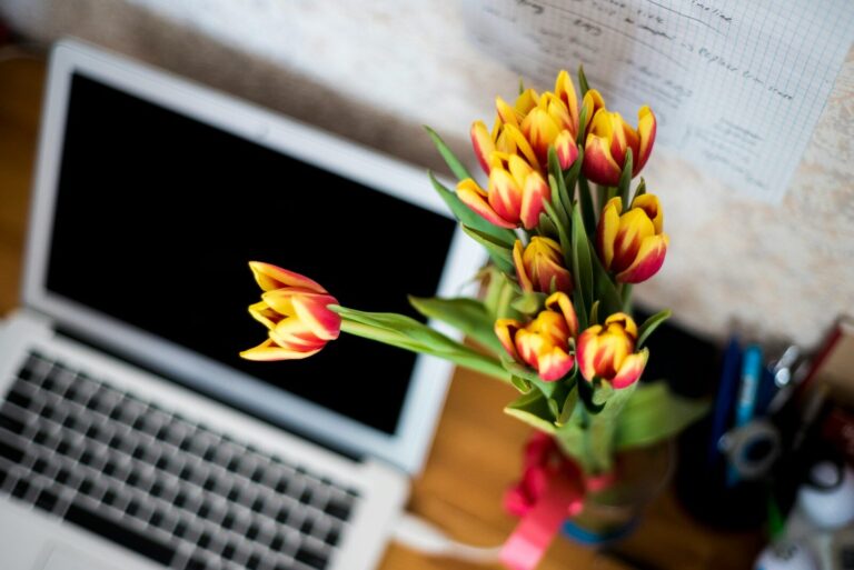 Why Spring Is the Best Time to Finally Build That Digital Product